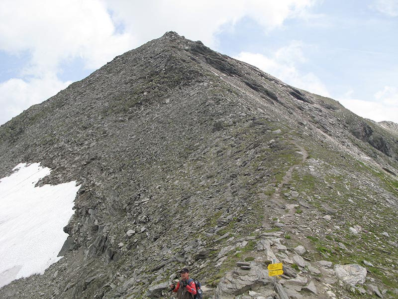 wildenkogel